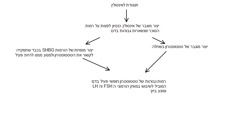 המהלך ההורמונאלי בנשים פוליציסטיות