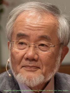 yoshinori ohsumi